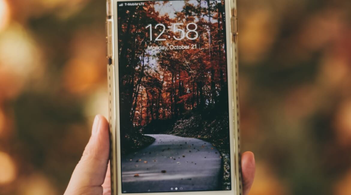 Chcesz nowe etui na telefon? Zobacz nasze jesienne obudowy